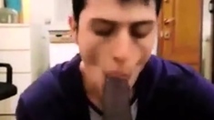 Dude Enjoys Sucking A Big Black Cock