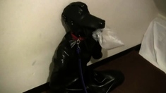 Amateur fetish couples tape