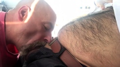 Dad sucking hairy cub