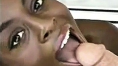 Sexy Ebony Fucks White Cock BWC