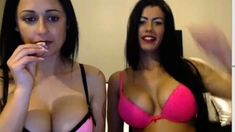 Bustys Cam Webcam Big Boobs Free Big Boobs Cam Porn Video